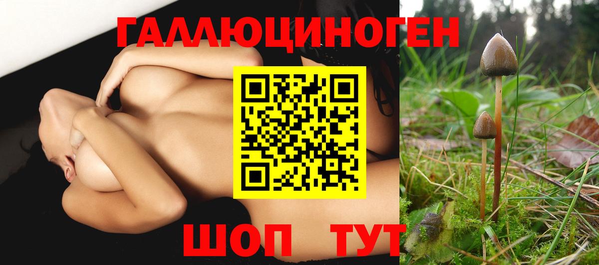 купить наркотик  Галлюциногенные грибы прущие грибы  Вход с VPN  Лосино-Петровский 
